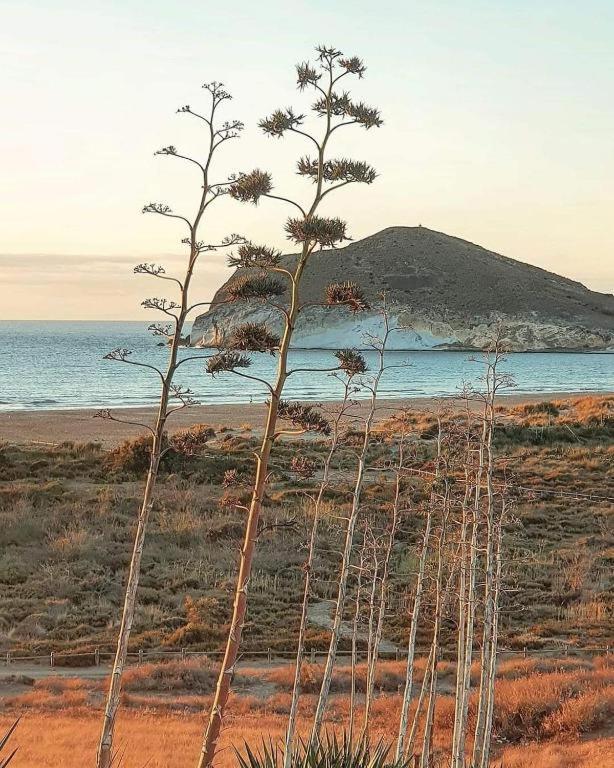 Exclusiva Casa Con Encanto En Agua Amarga Agua Amarga  Exteriör bild